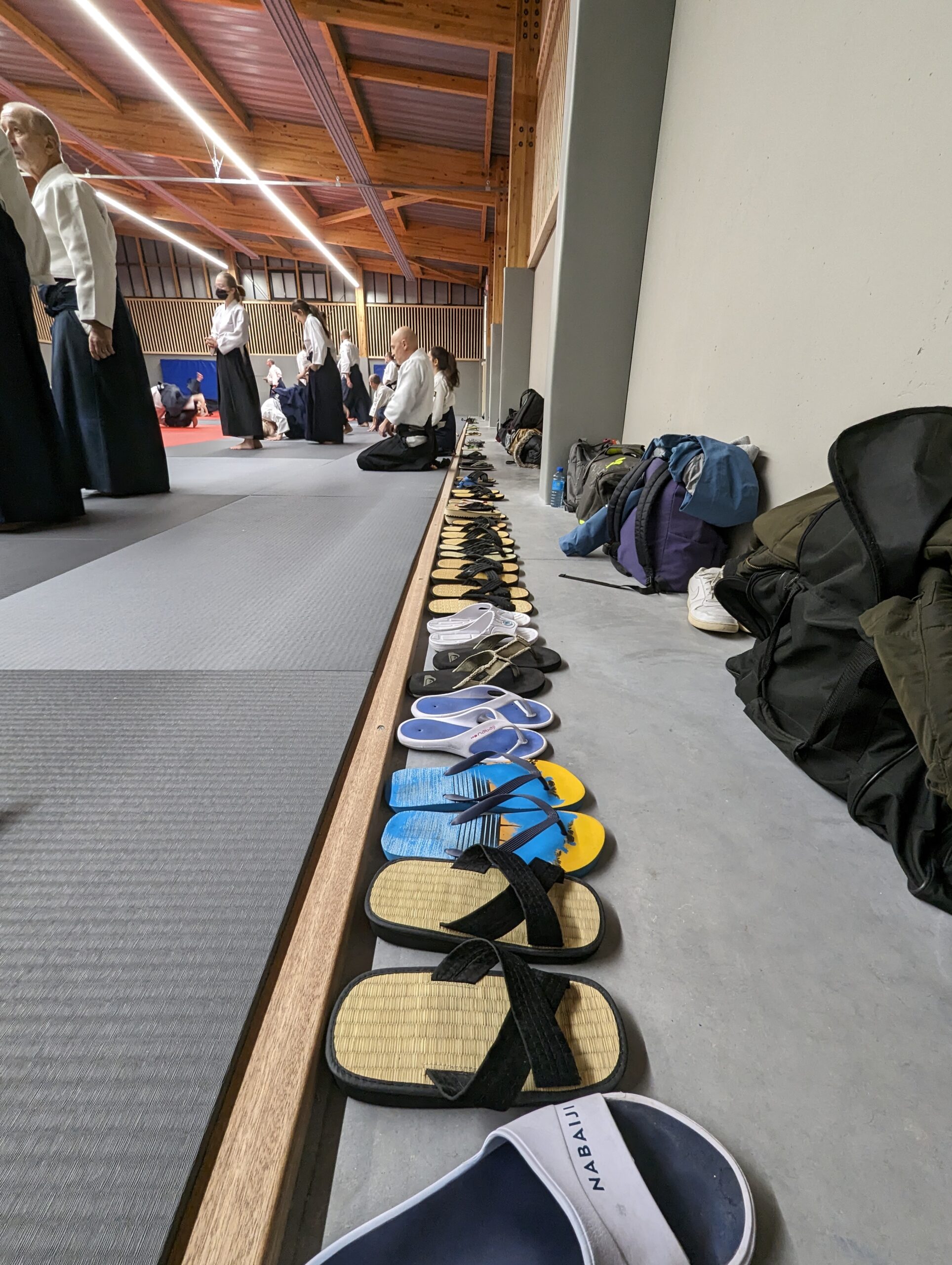 PXL_20231208_185939333.MP