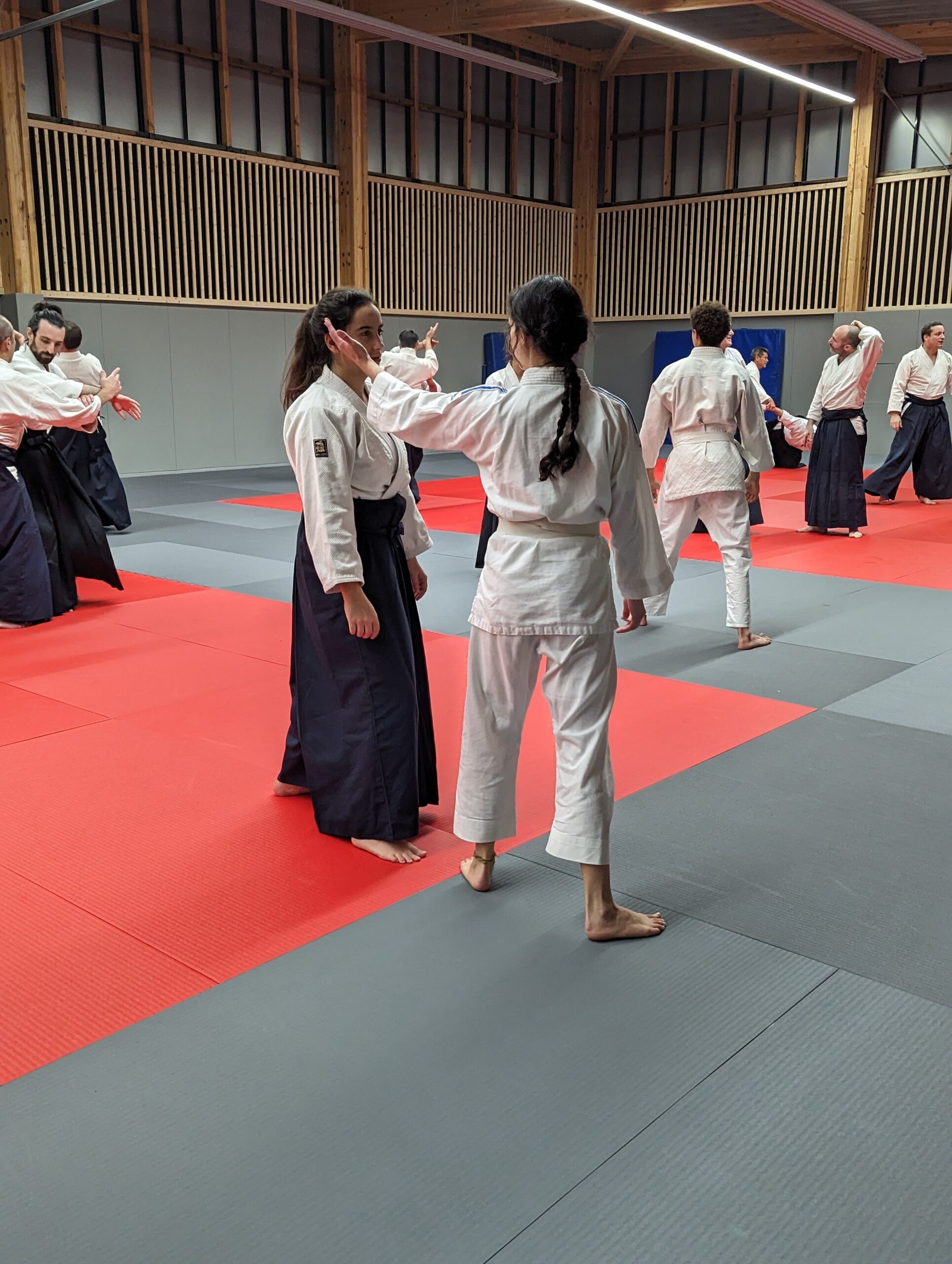 PXL_20231208_193535152.MP