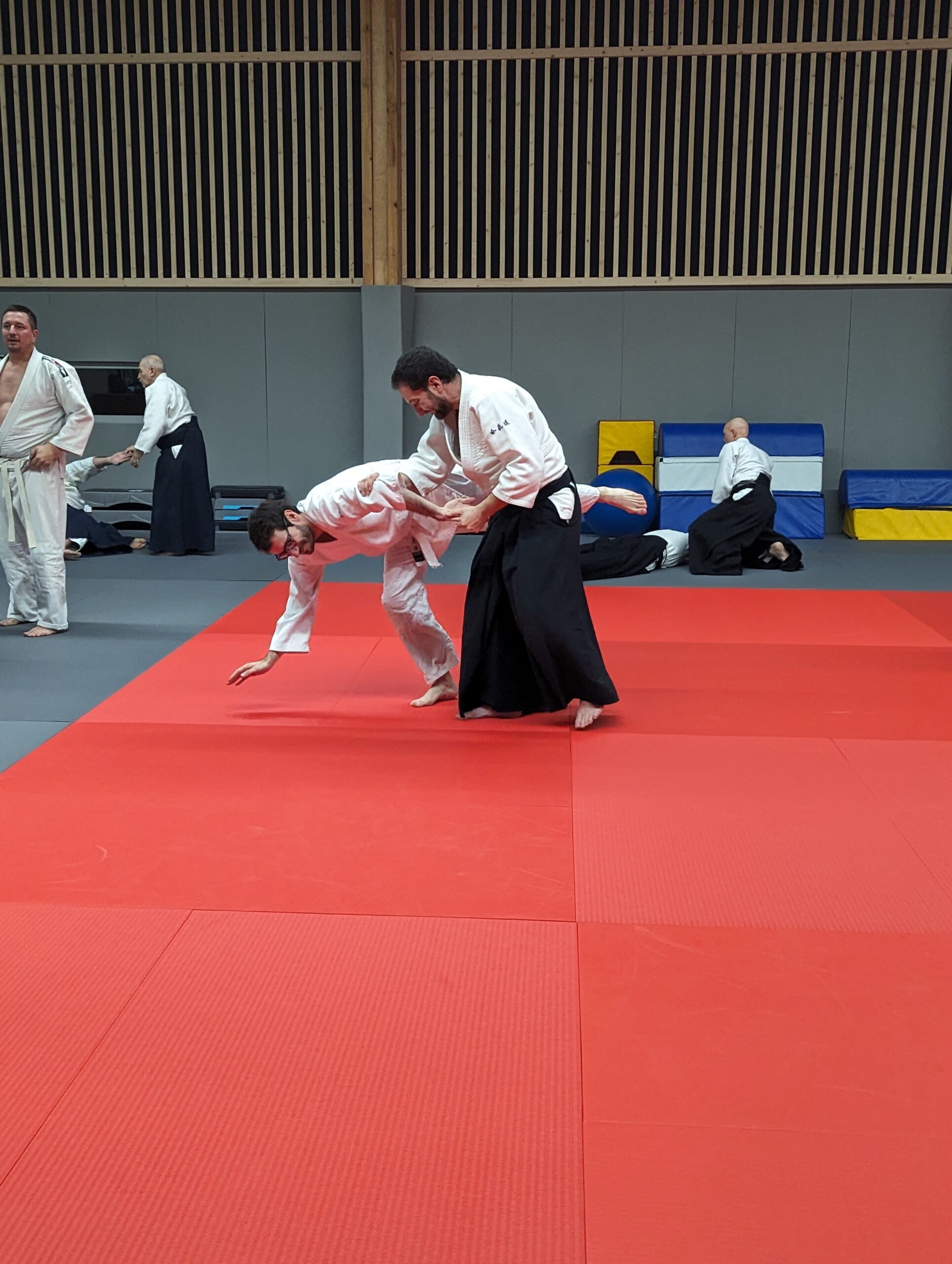 PXL_20231208_193547071.MP