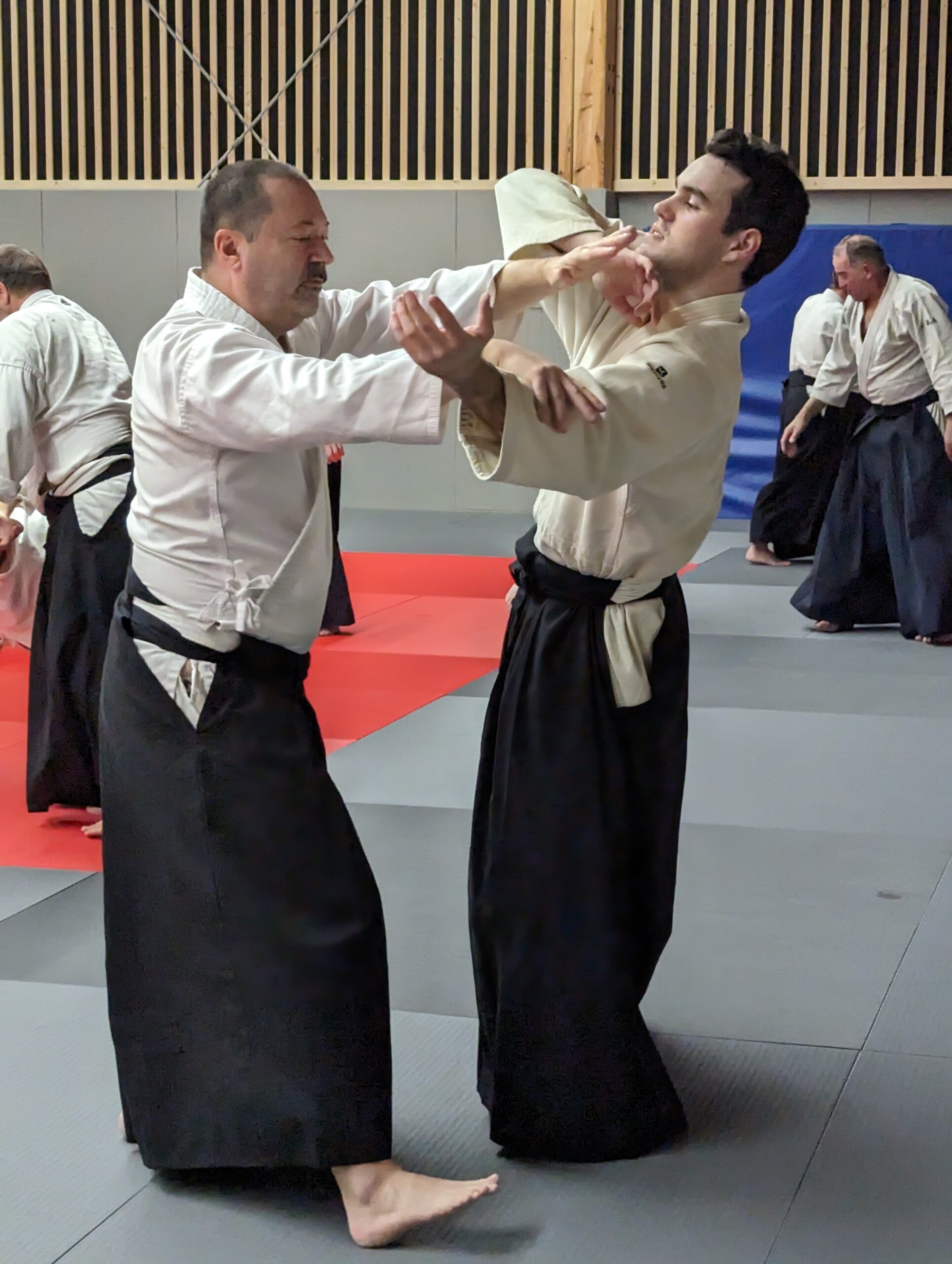 PXL_20231208_193612681.MP