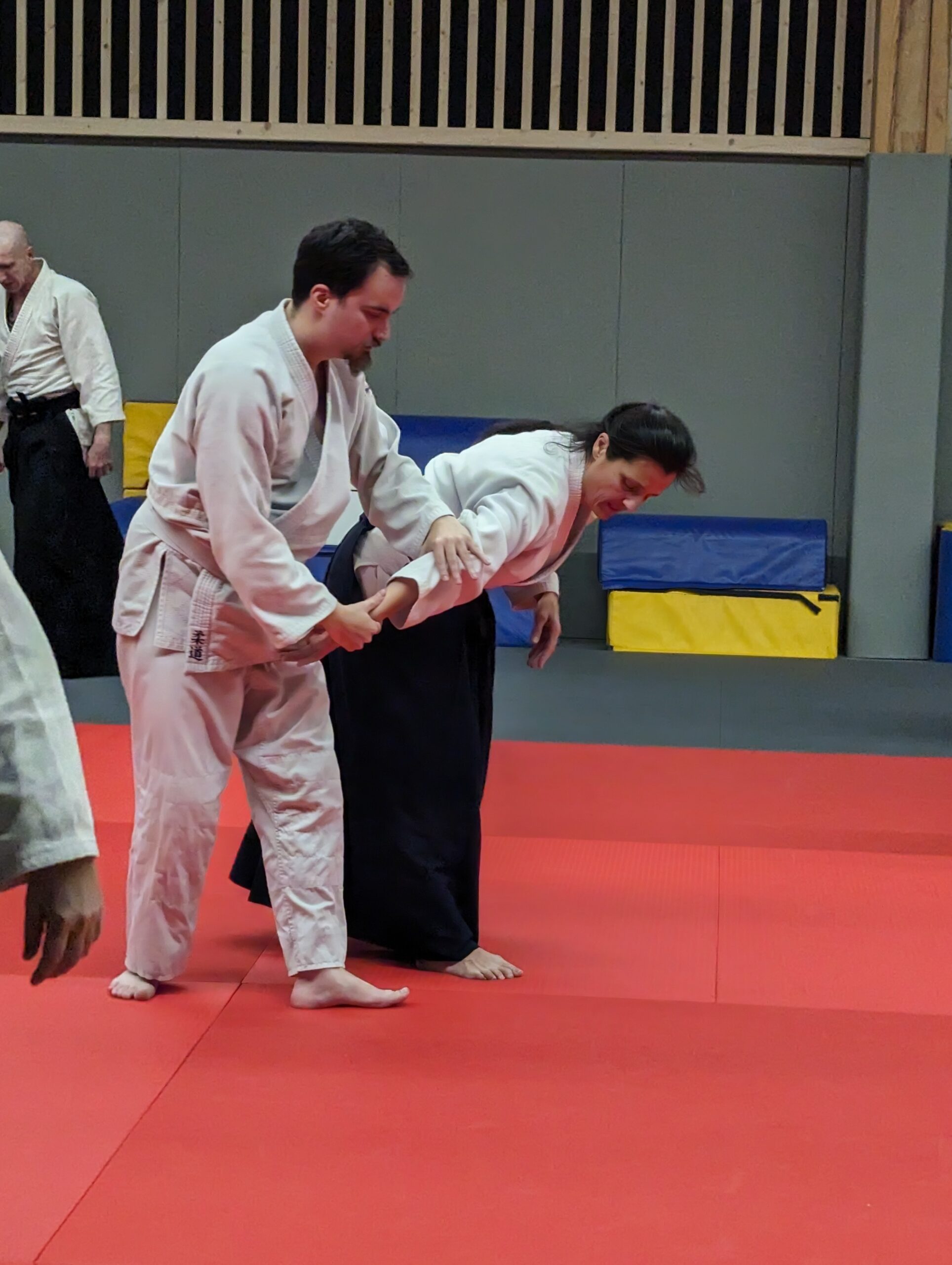 PXL_20231208_193632231.MP