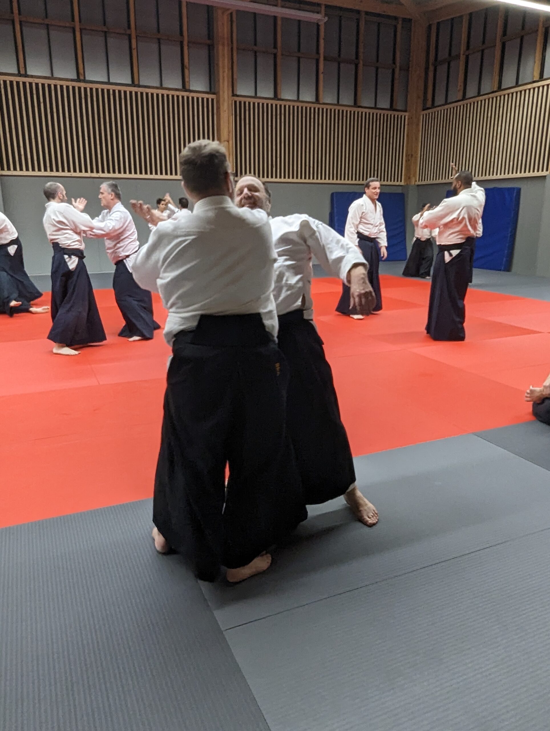 PXL_20231208_193719791.MP