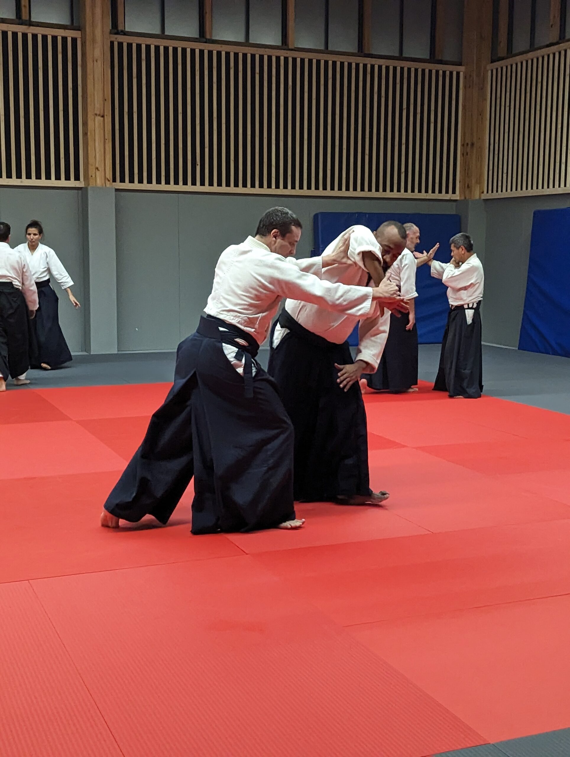 PXL_20231208_193744619.MP