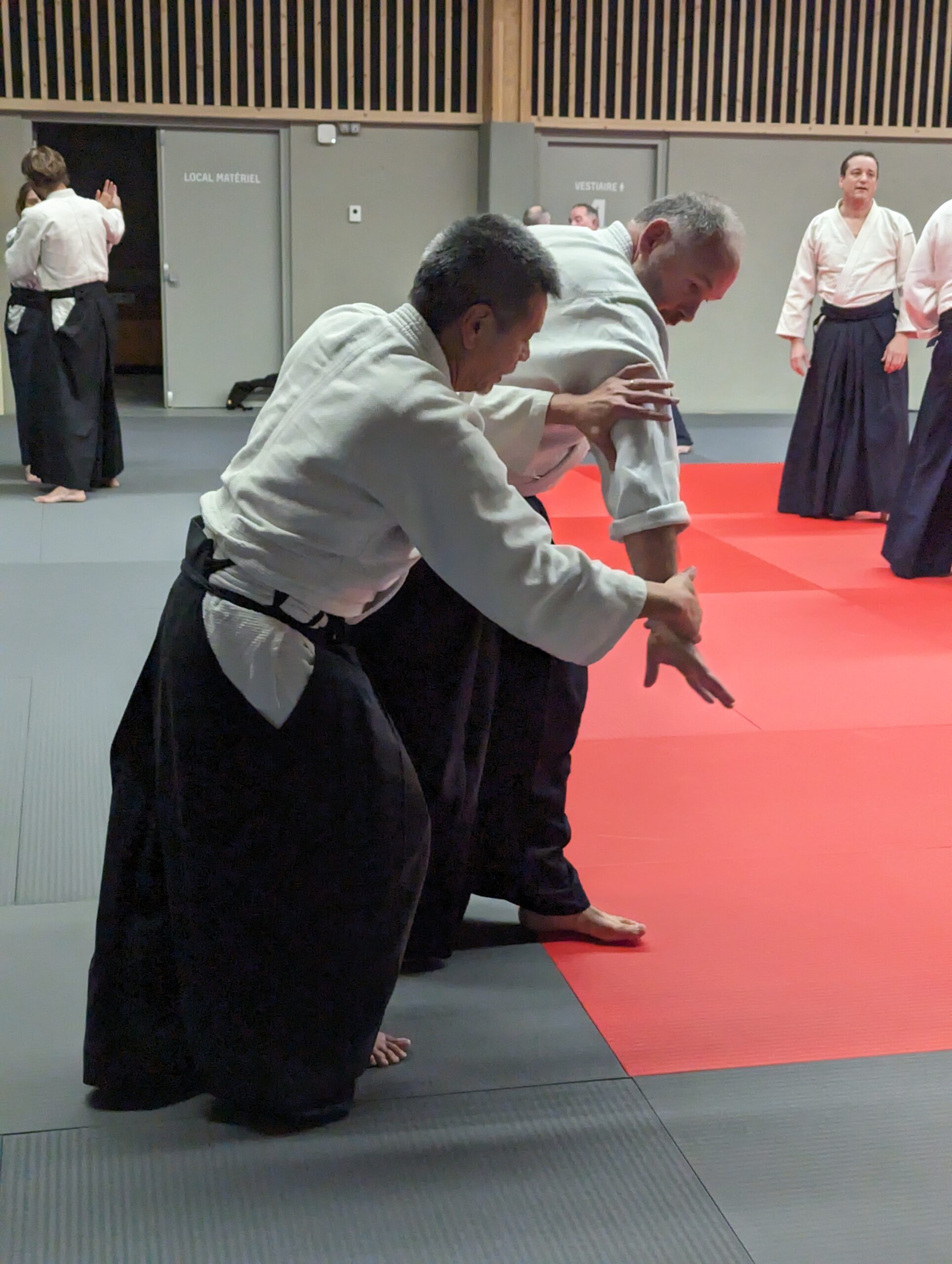 PXL_20231208_193933739.MP