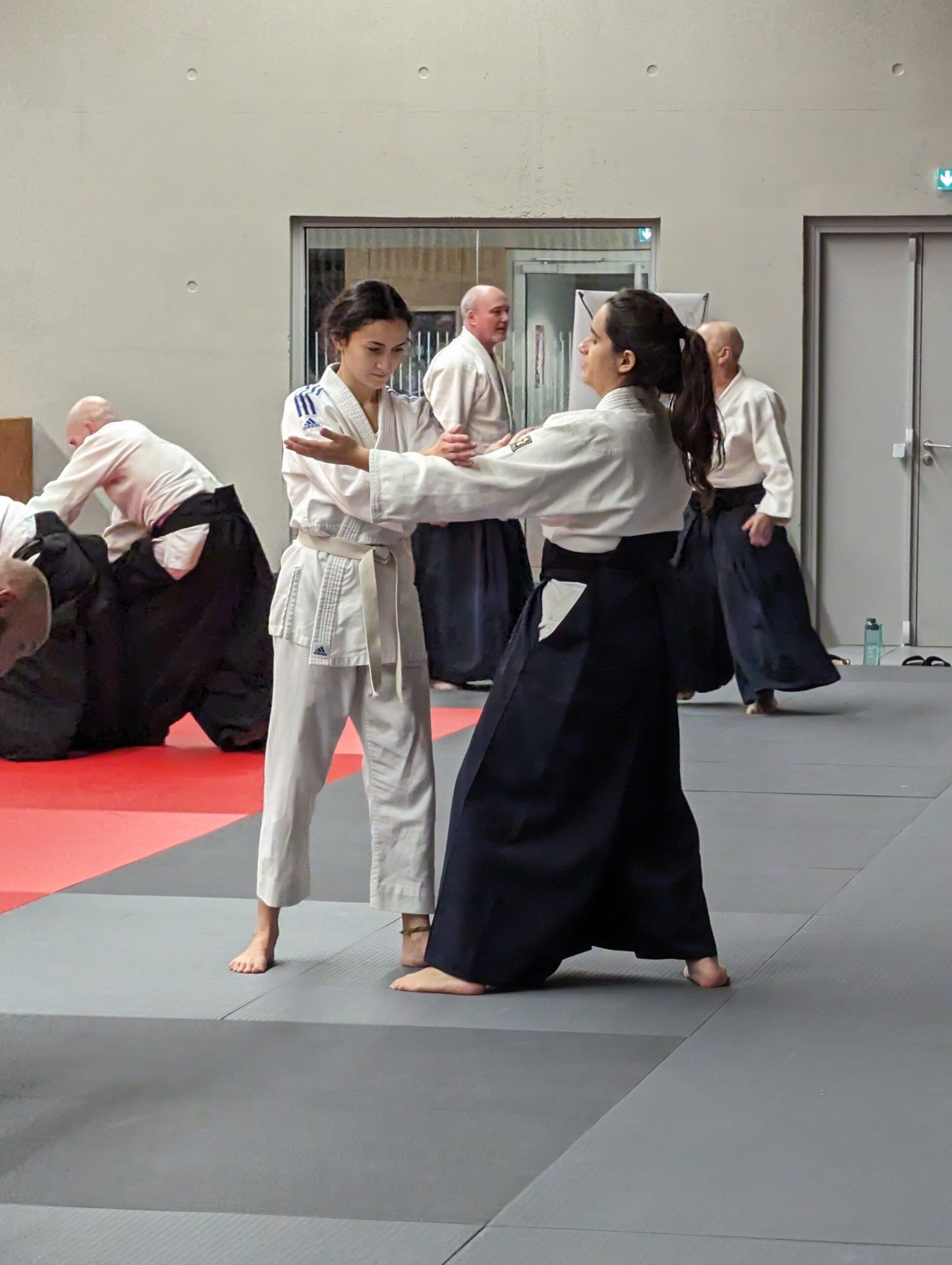 PXL_20231208_193958117.MP