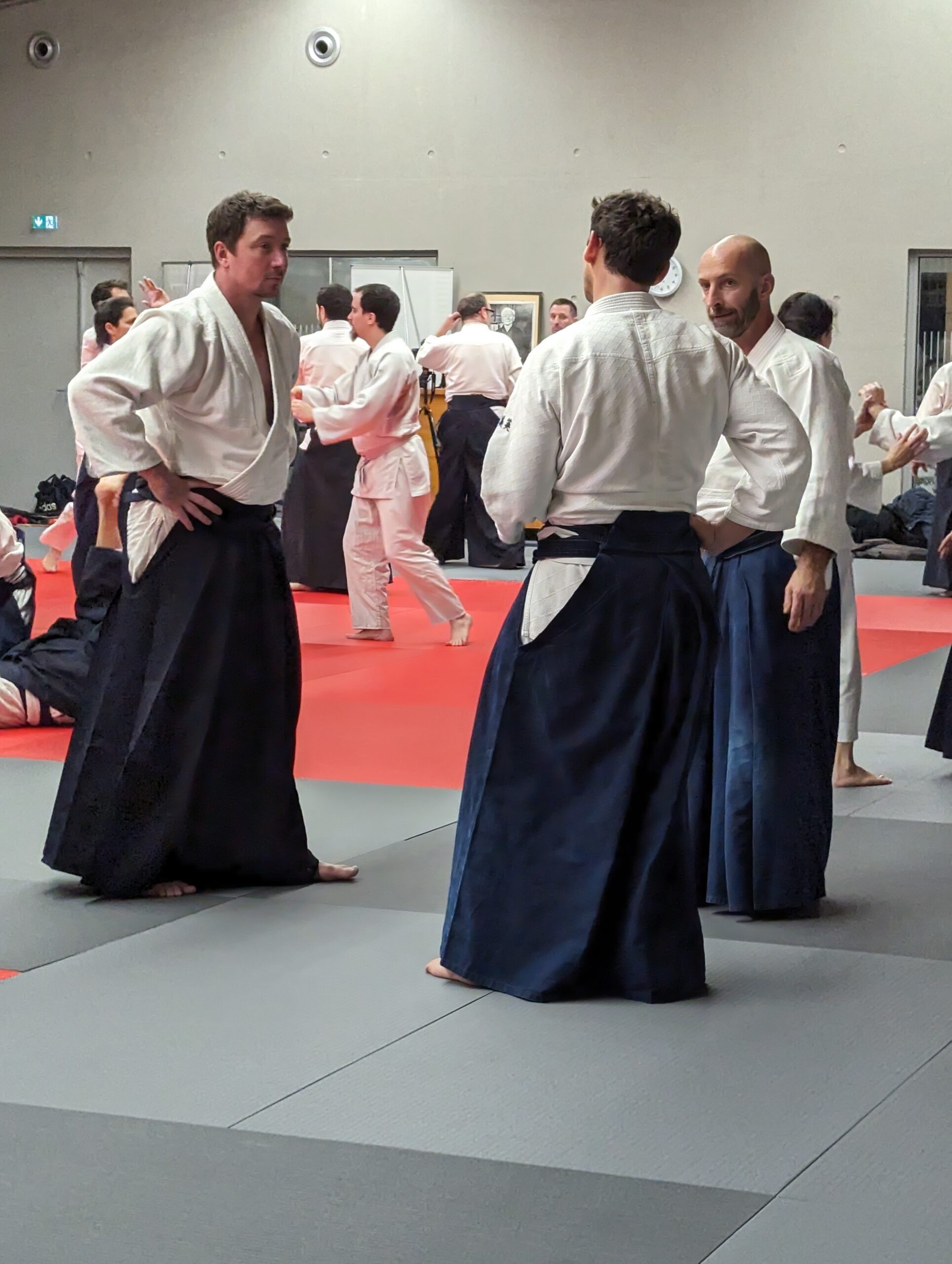 PXL_20231208_194001886.MP