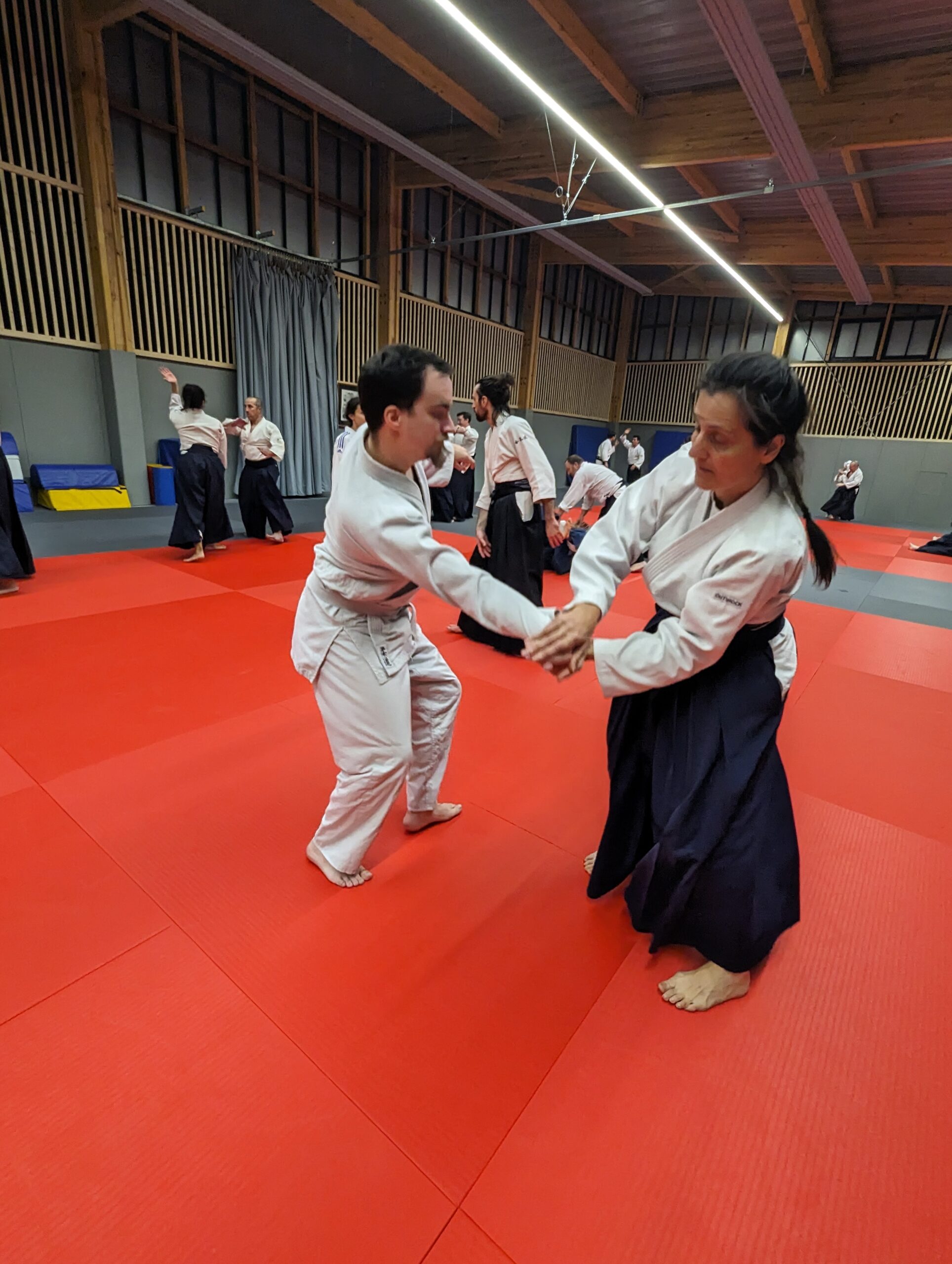 PXL_20231208_195730777.MP