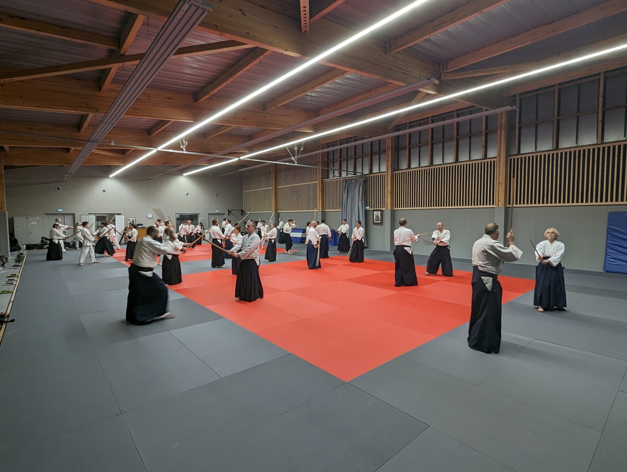 PXL_20231208_201141117.MP