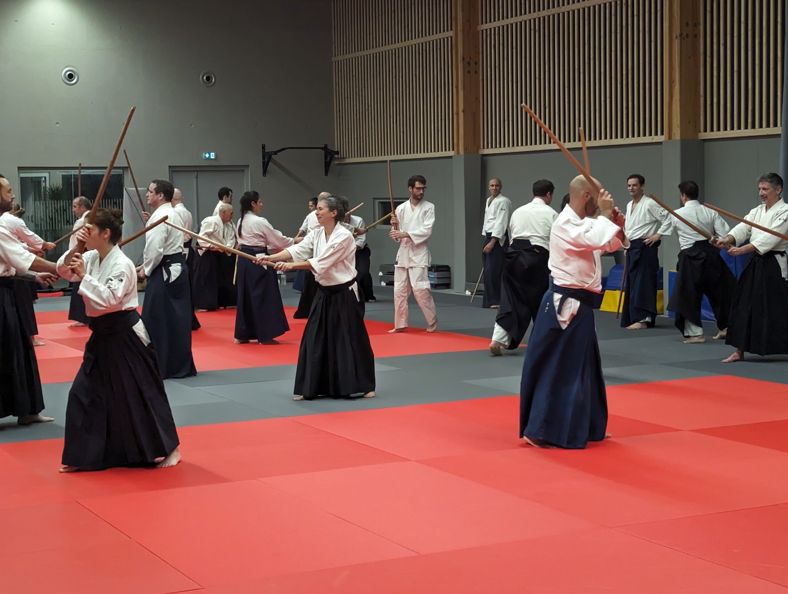 PXL_20231208_201210346.MP