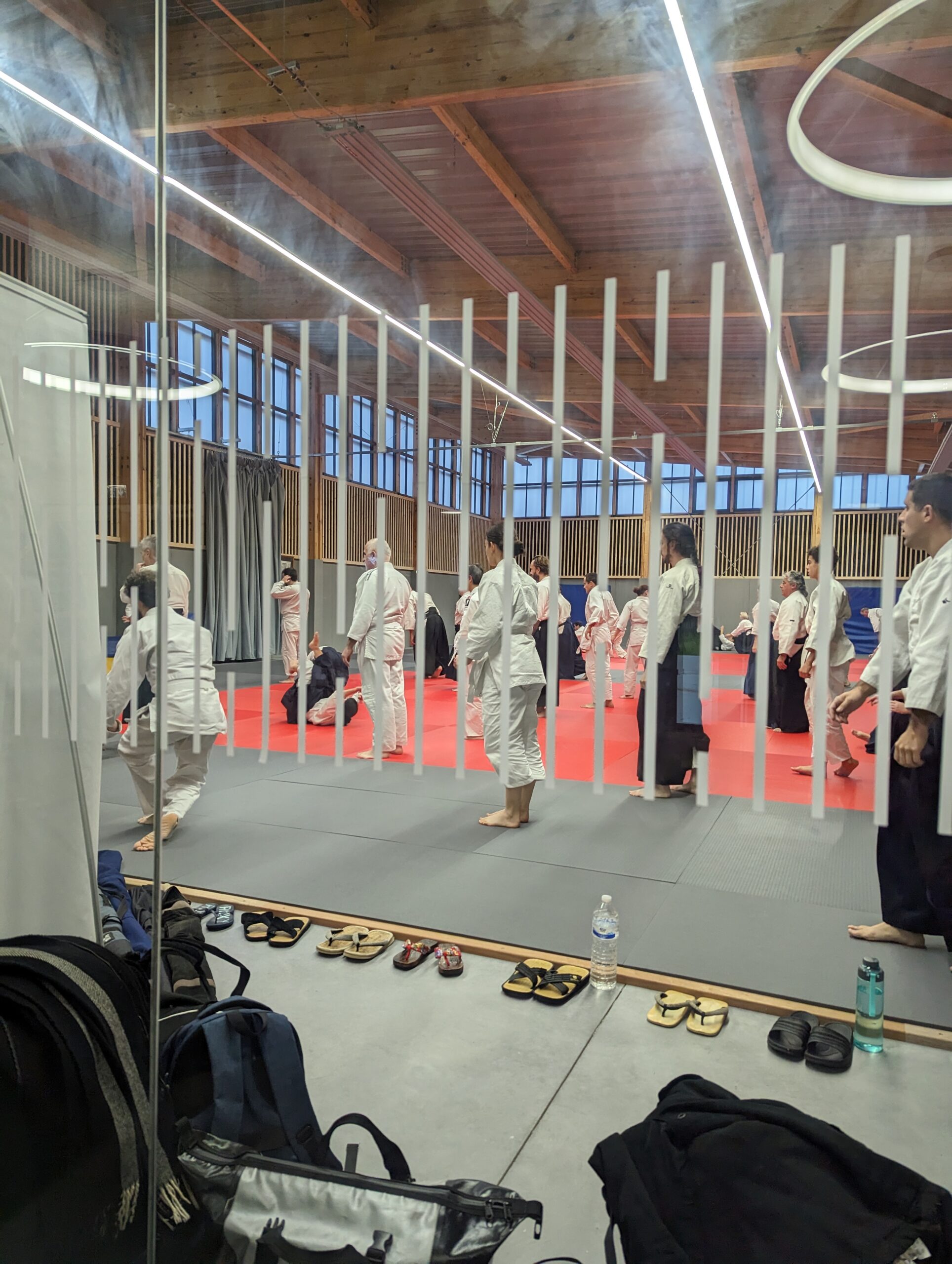 PXL_20231209_091211012.MP