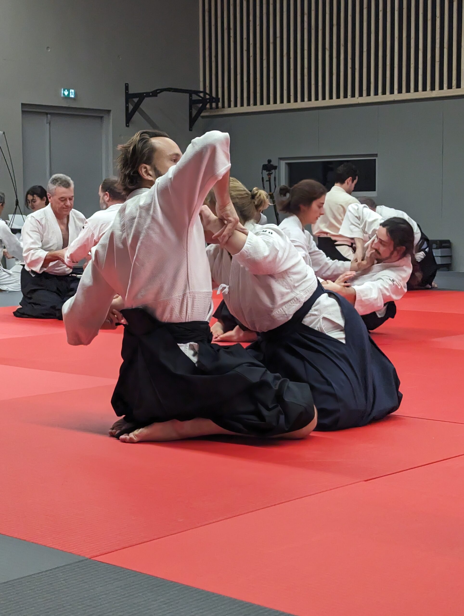 PXL_20231209_093623181.MP